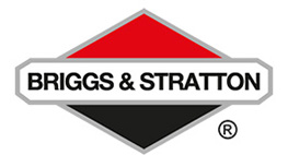 (image for) Briggs & Stratton